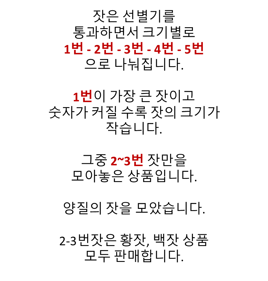 태기산잣 국내산 황잣 백잣 피잣 산지직송 선물세트 견과류