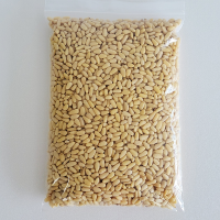 국내산 태기산잣 작은알잣 500g 황잣 백잣