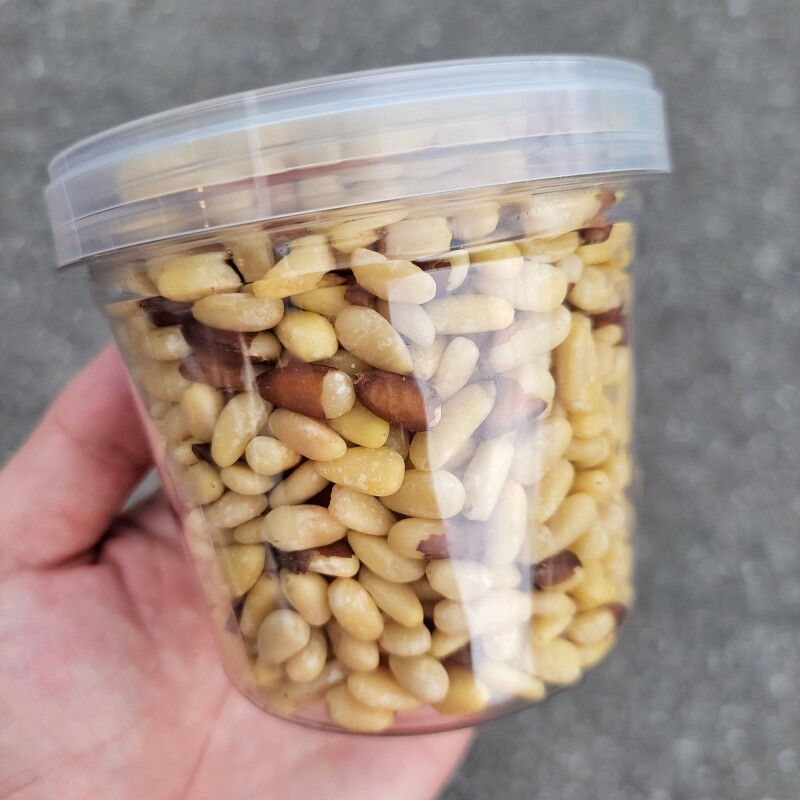 태기산잣,국내산 태기산잣(200g) 황잣 백잣