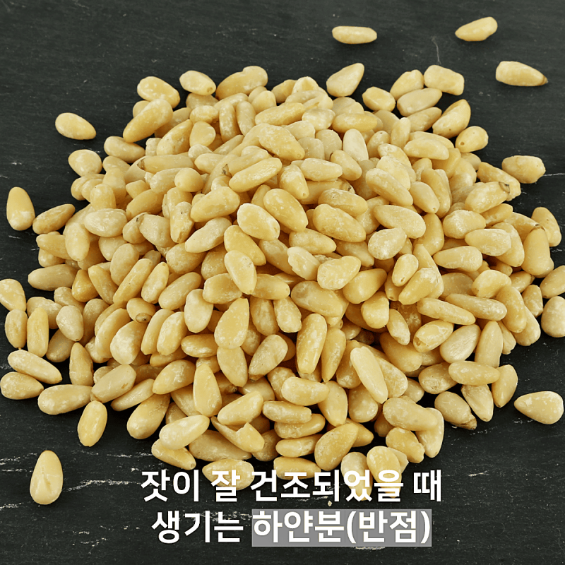 태기산잣,국내산 태기산잣 캔잣(140g x 1캔) 황잣 백잣